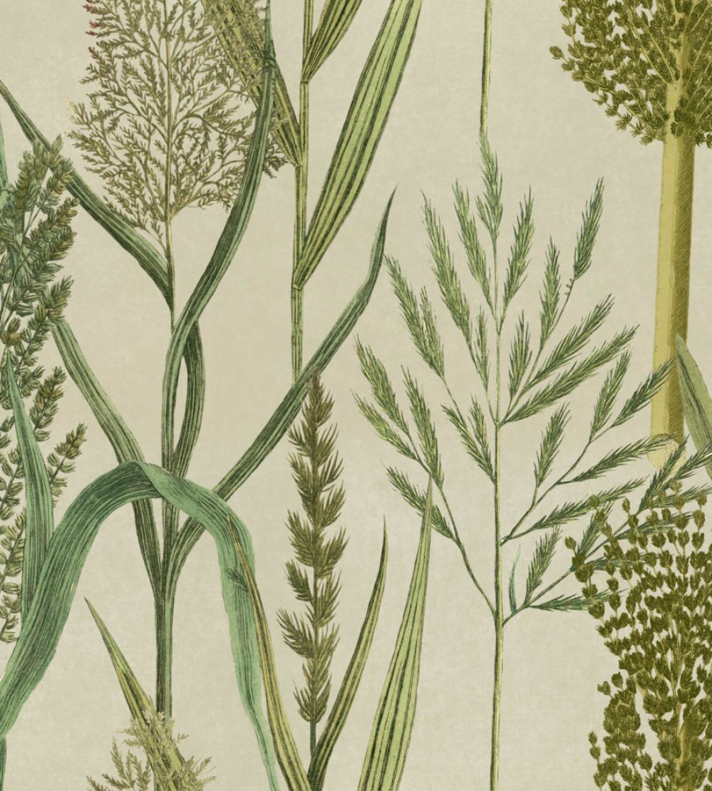 Riverside Flora Wallpaper by MINDTHEGAP Taupe