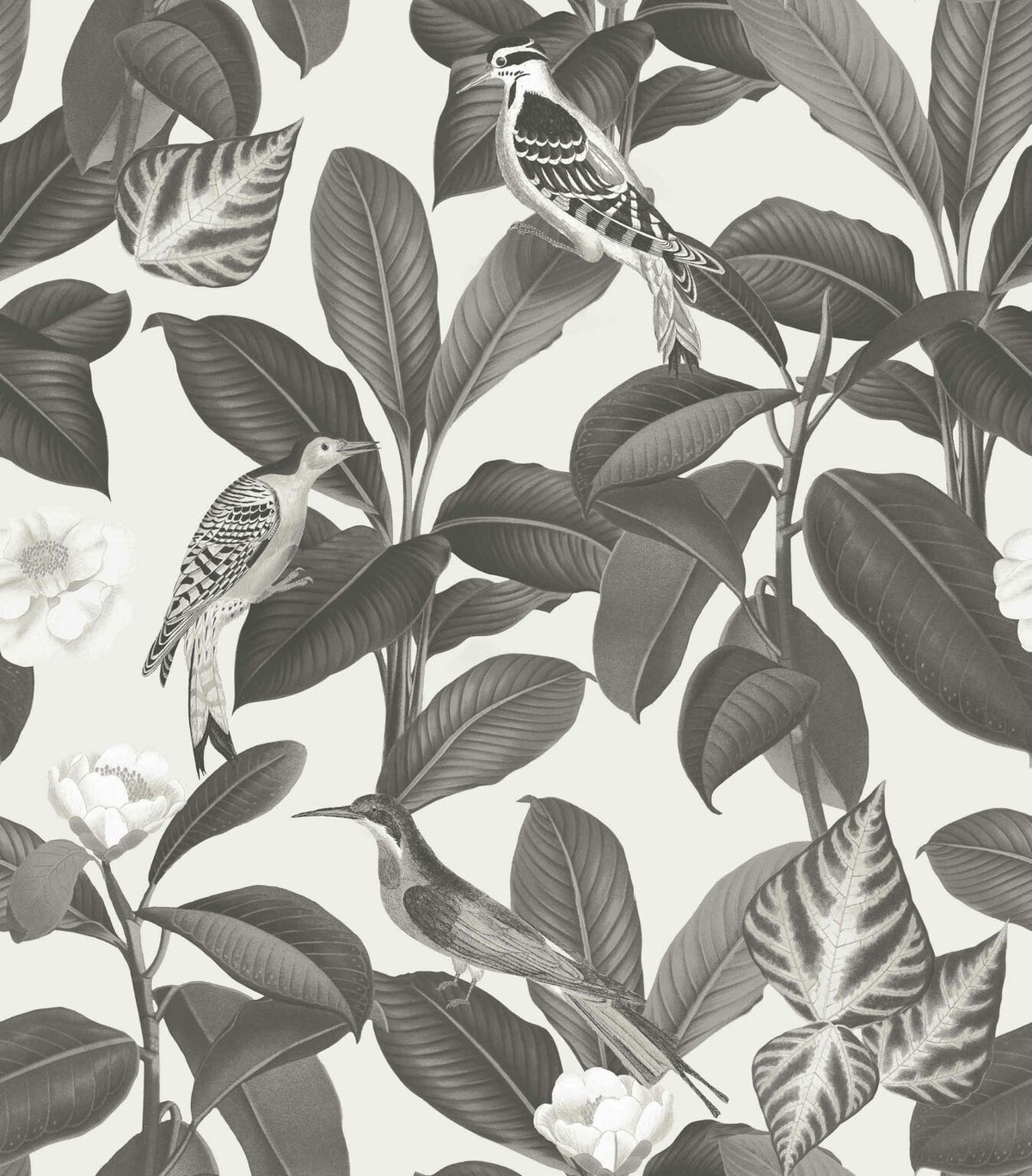 Rocio wallpaper by Coordonné in Arroz, flat pattern view