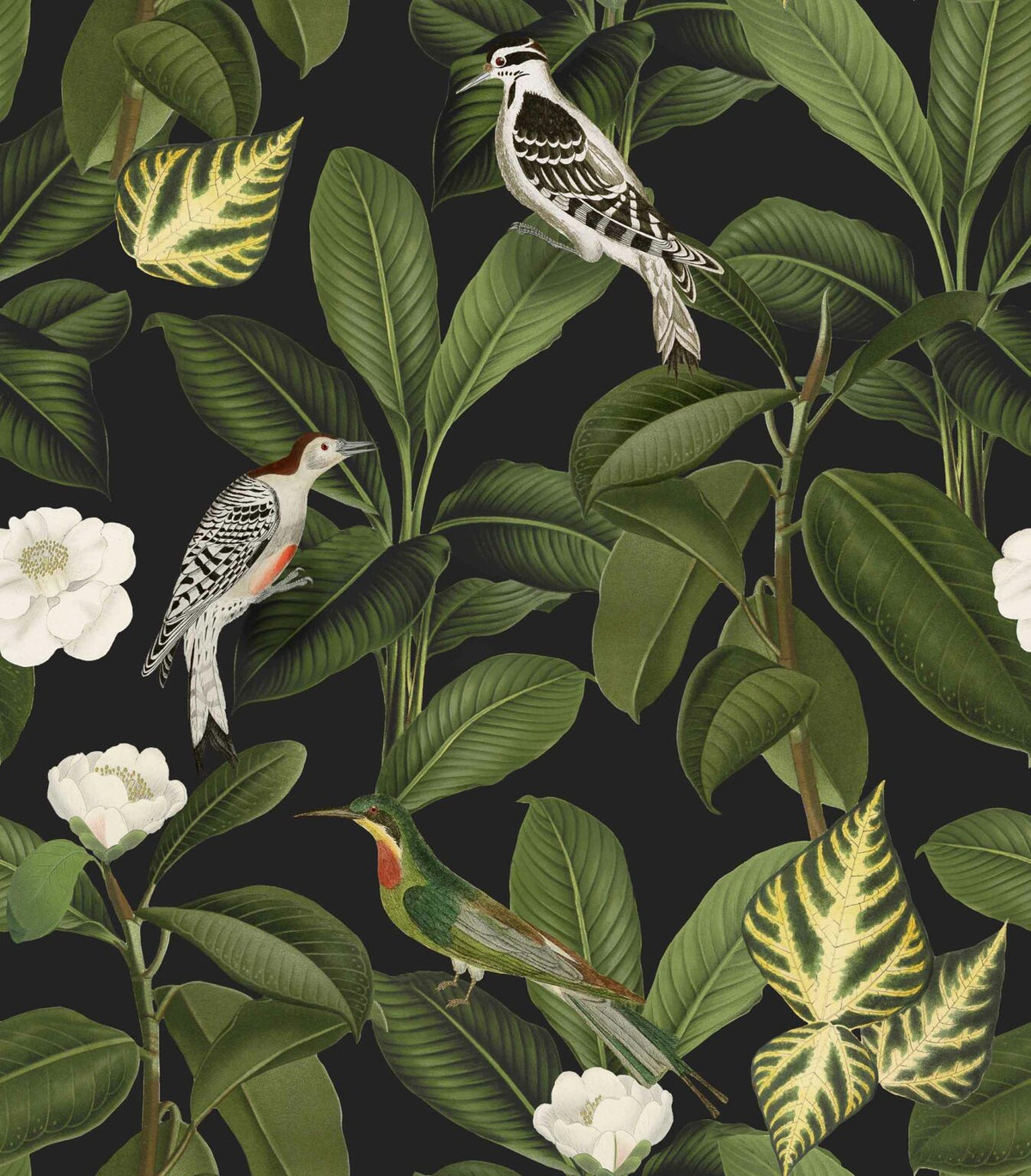 Rocio wallpaper by Coordonné in Azabache, flat pattern view