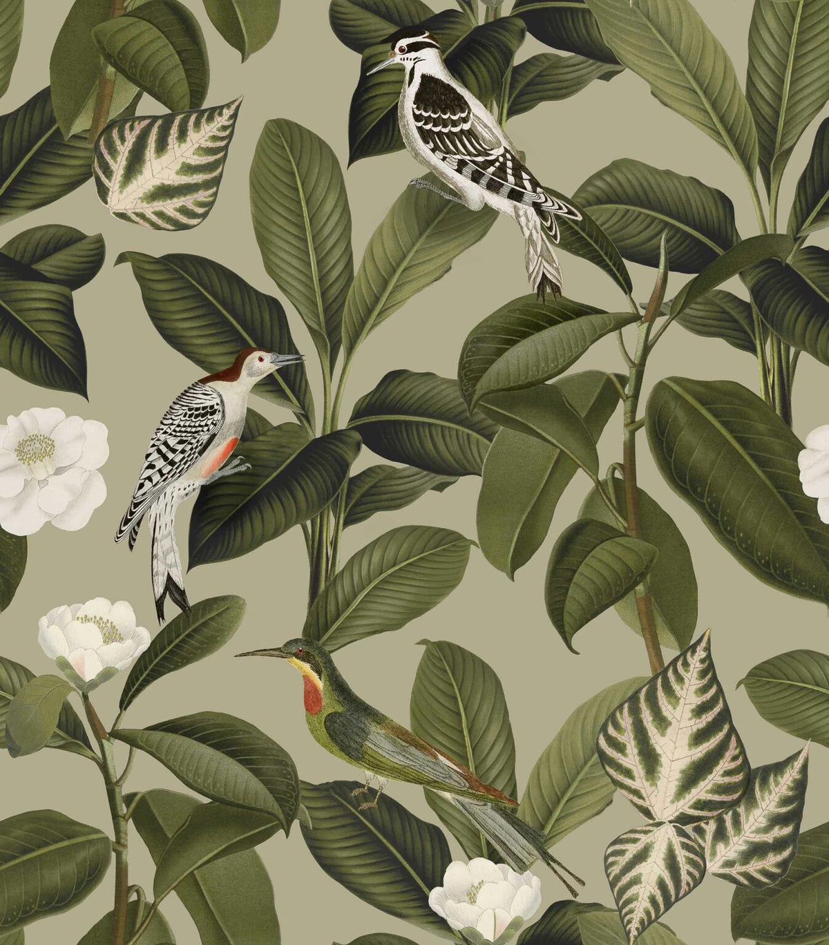 Rocio wallpaper by Coordonné in Pistacho, flat pattern view