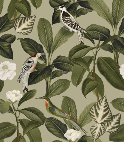 Rocio wallpaper by Coordonné in Pistacho, flat pattern view