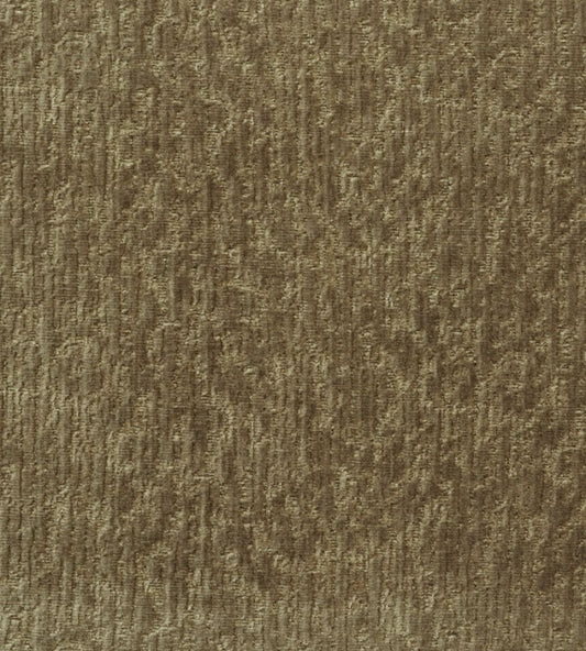 Roma Fabric by Andrew Martin Bronze