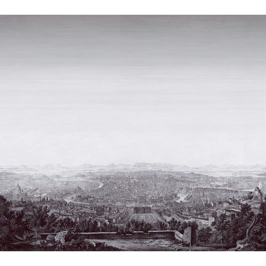 Roma Mural by Thibaut in Black (TM4537)