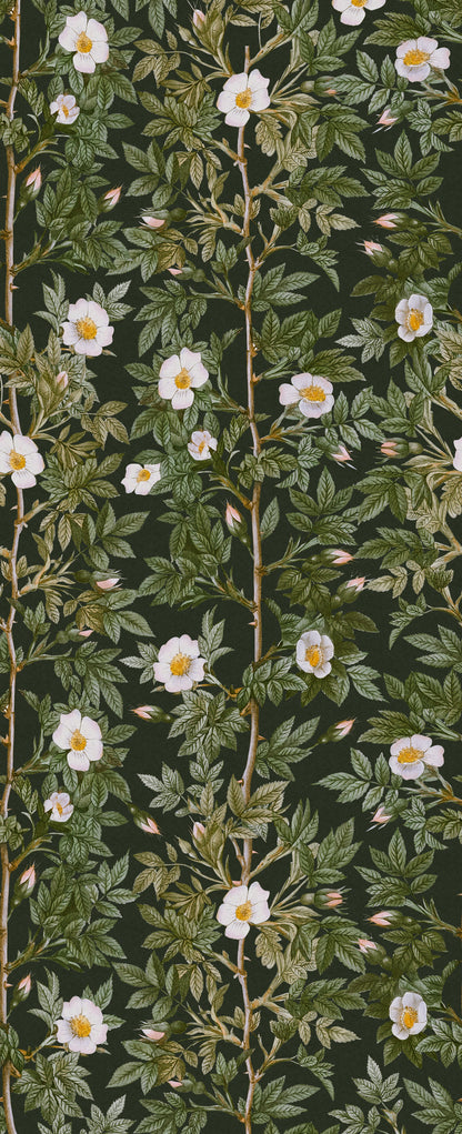 Rose Hip Midnight mural by Rebel Walls