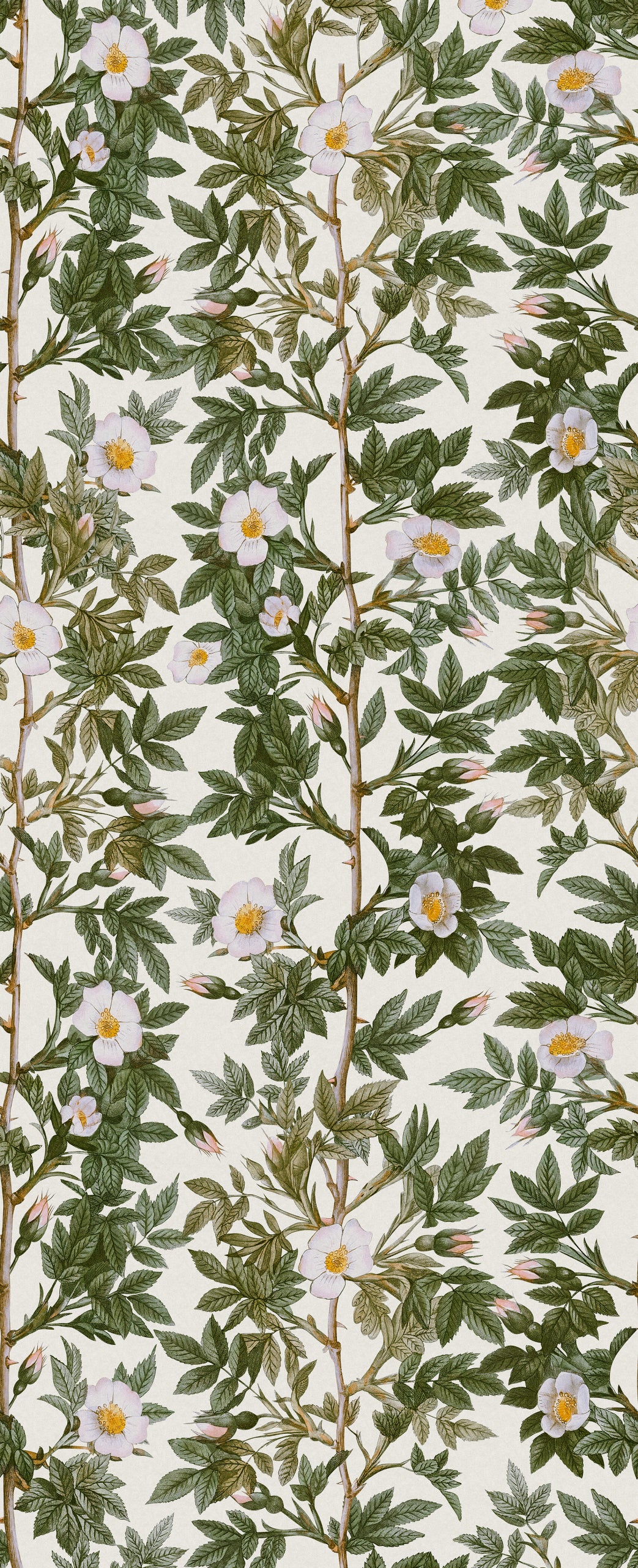 Rose Hip Green mural by Rebel Walls