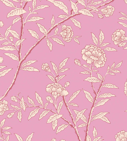 Roseberry Wallpaper by Cole & Son Fuchsia