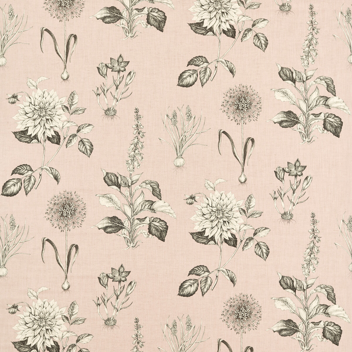 Roseraie Blush fabric by Clarke & Clarke