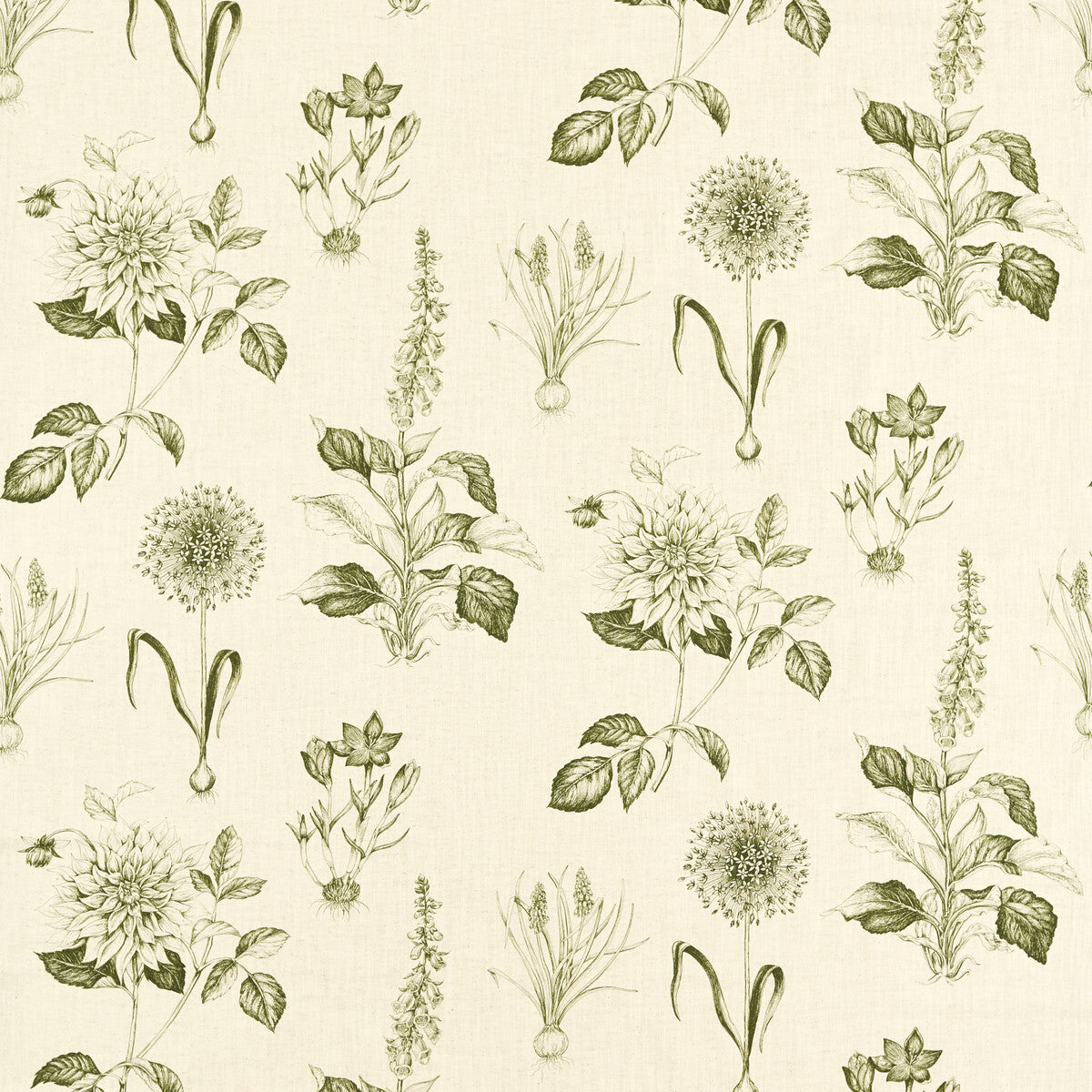 Roseraie Sage fabric by Clarke & Clarke