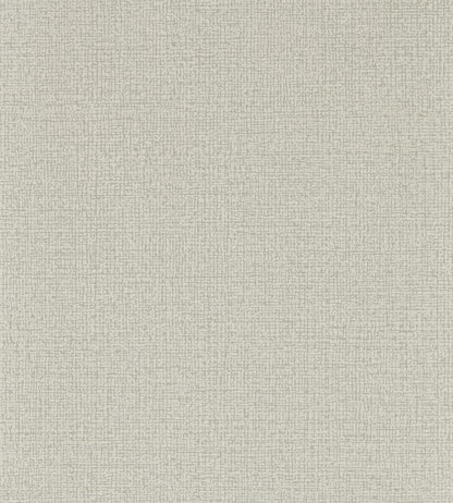 Ryman Wallpaper by Clarke & Clarke Dove