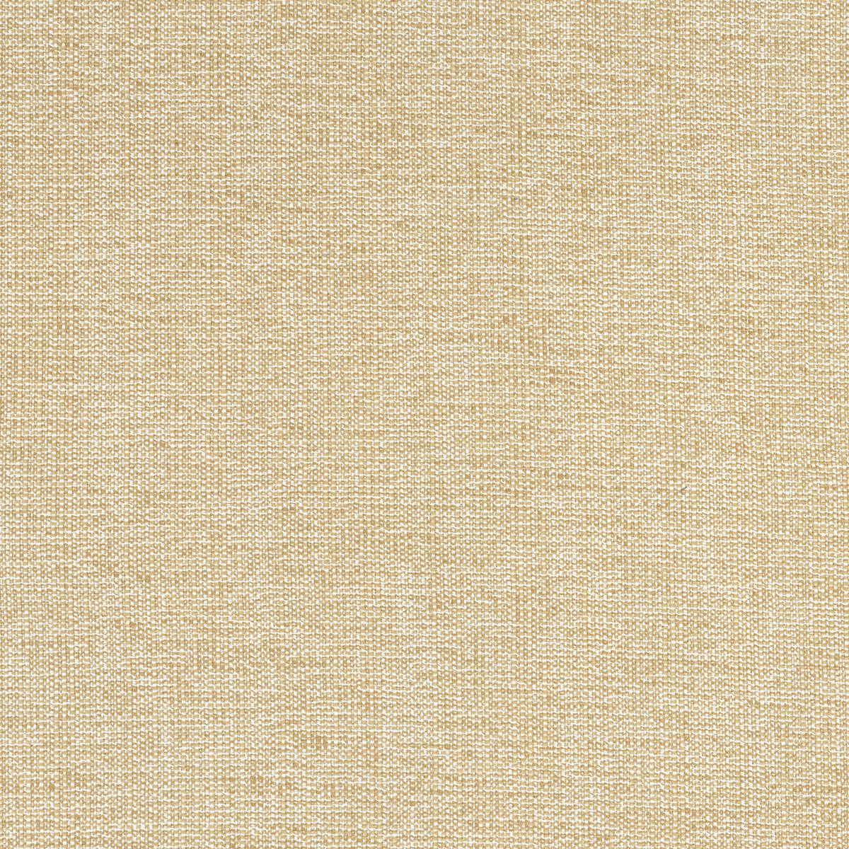 Sacchi Fabric by Thibaut in Caramel (W8756)