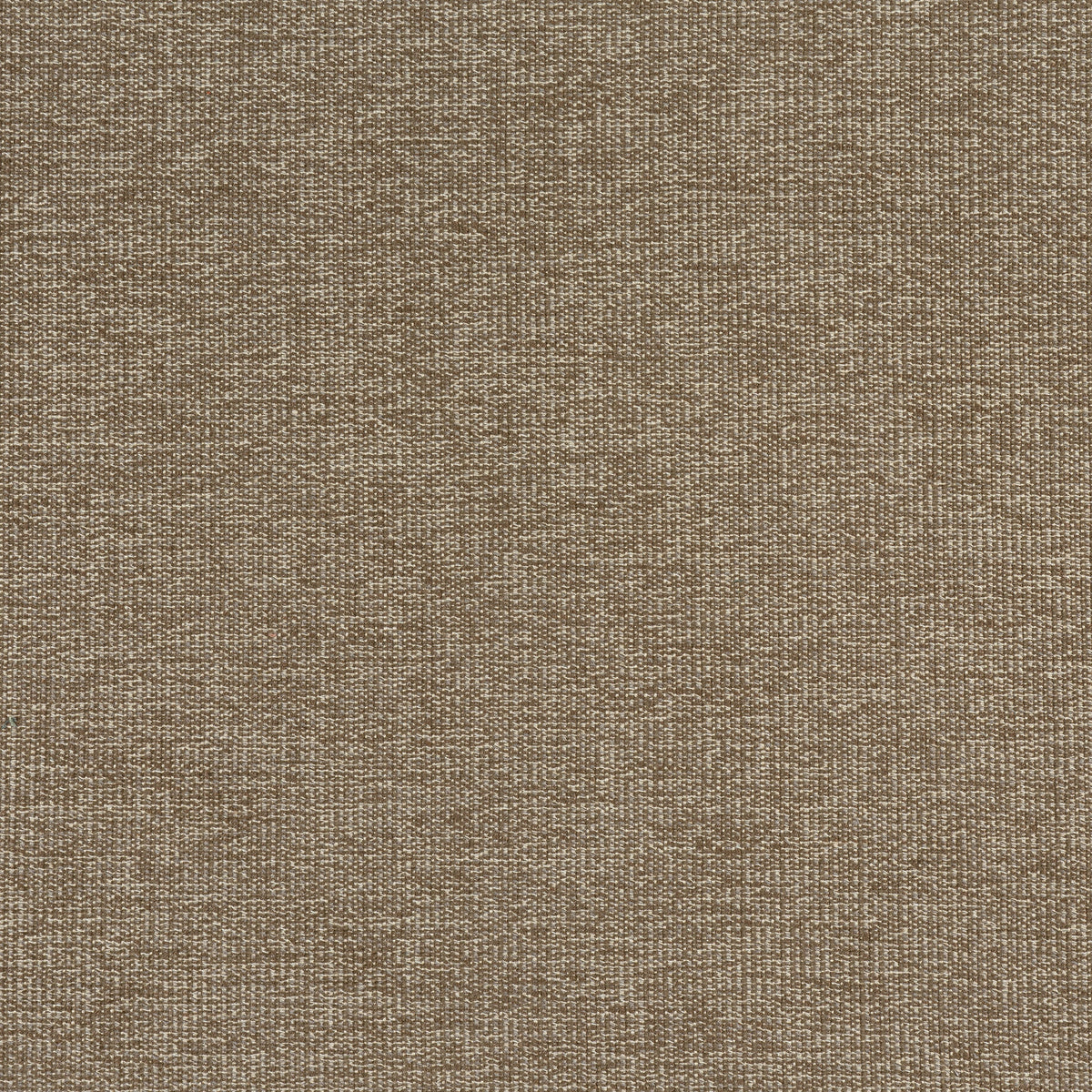 Sacchi Fabric by Thibaut in Mocha (W8757)