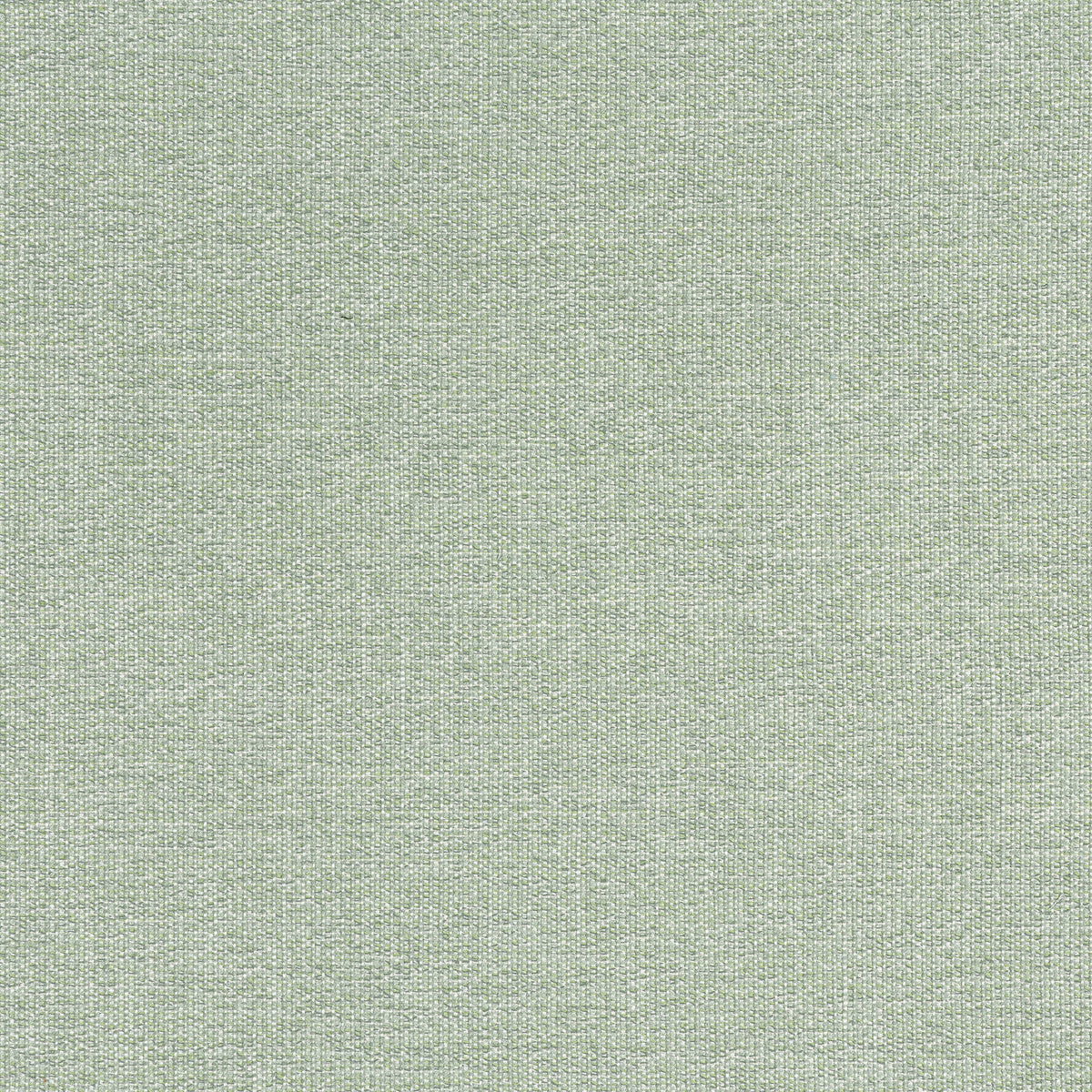 Sacchi Fabric by Thibaut in Aloe (W8759)