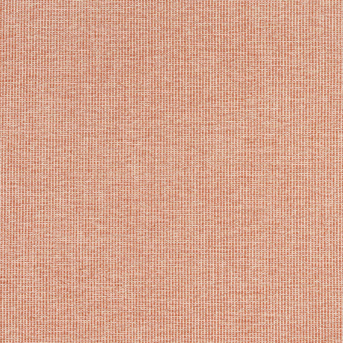 Sacchi Fabric by Thibaut in Terracotta (W8761)