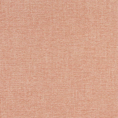 Sacchi Fabric by Thibaut in Terracotta (W8761)