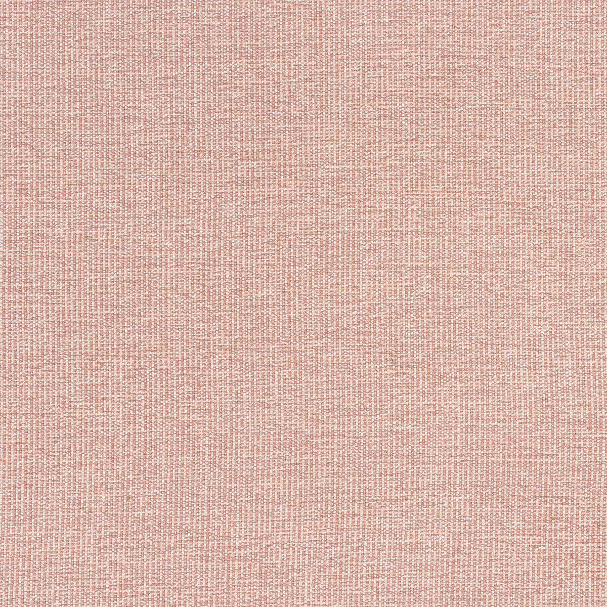 Sacchi Fabric by Thibaut in Clay (W8762)