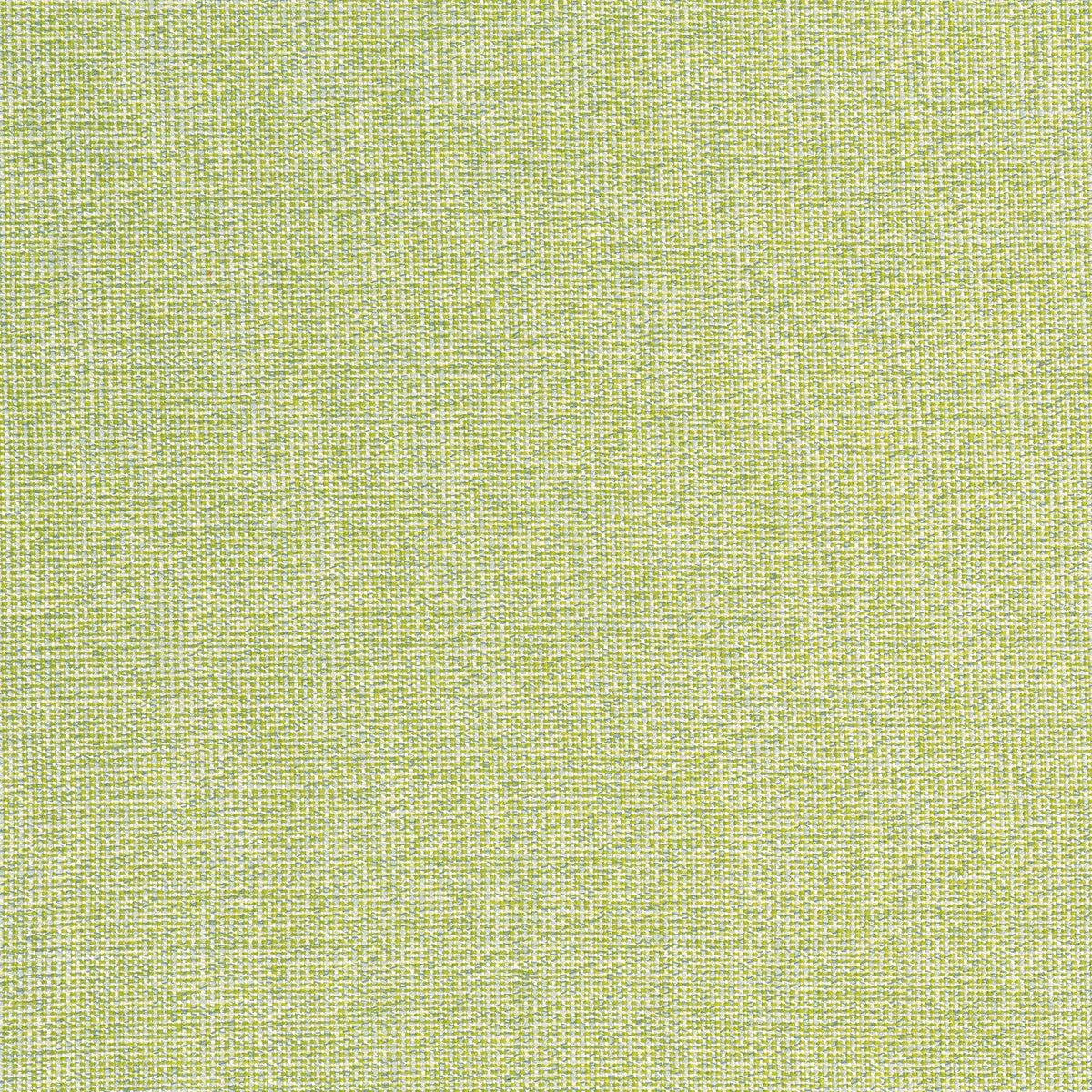 Sacchi Fabric by Thibaut in Leaf (W8763)