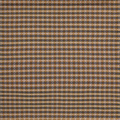 Samba Rug by Pierre Frey in Ocre (FT563002)
