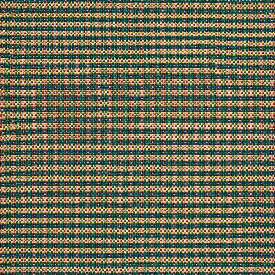 Samba Rug by Pierre Frey in Sapin (FT563001)