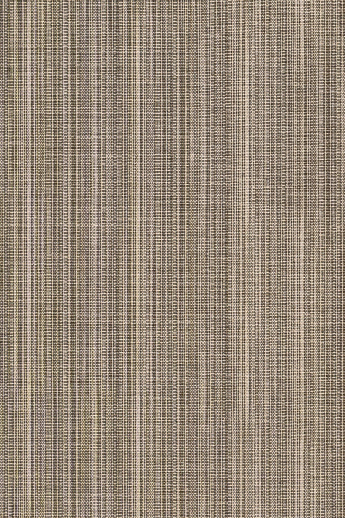 San Luca Strie Fabric by Jean Monro in Graphite