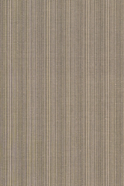 San Luca Strie Fabric by Jean Monro in Graphite