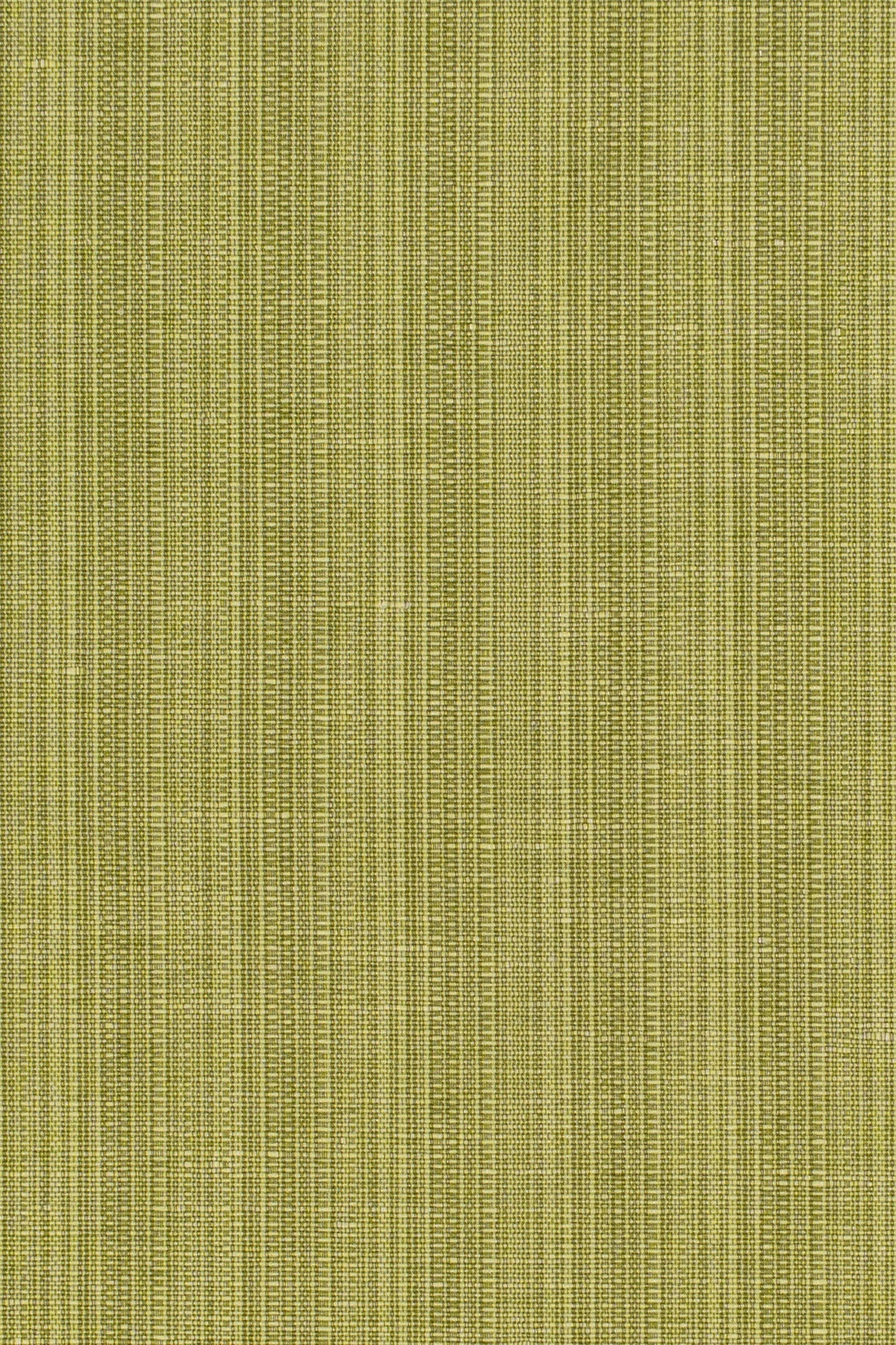 San Luca Strie Fabric by Jean Monro in Lime