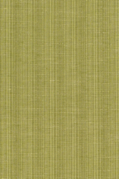 San Luca Strie Fabric by Jean Monro in Lime