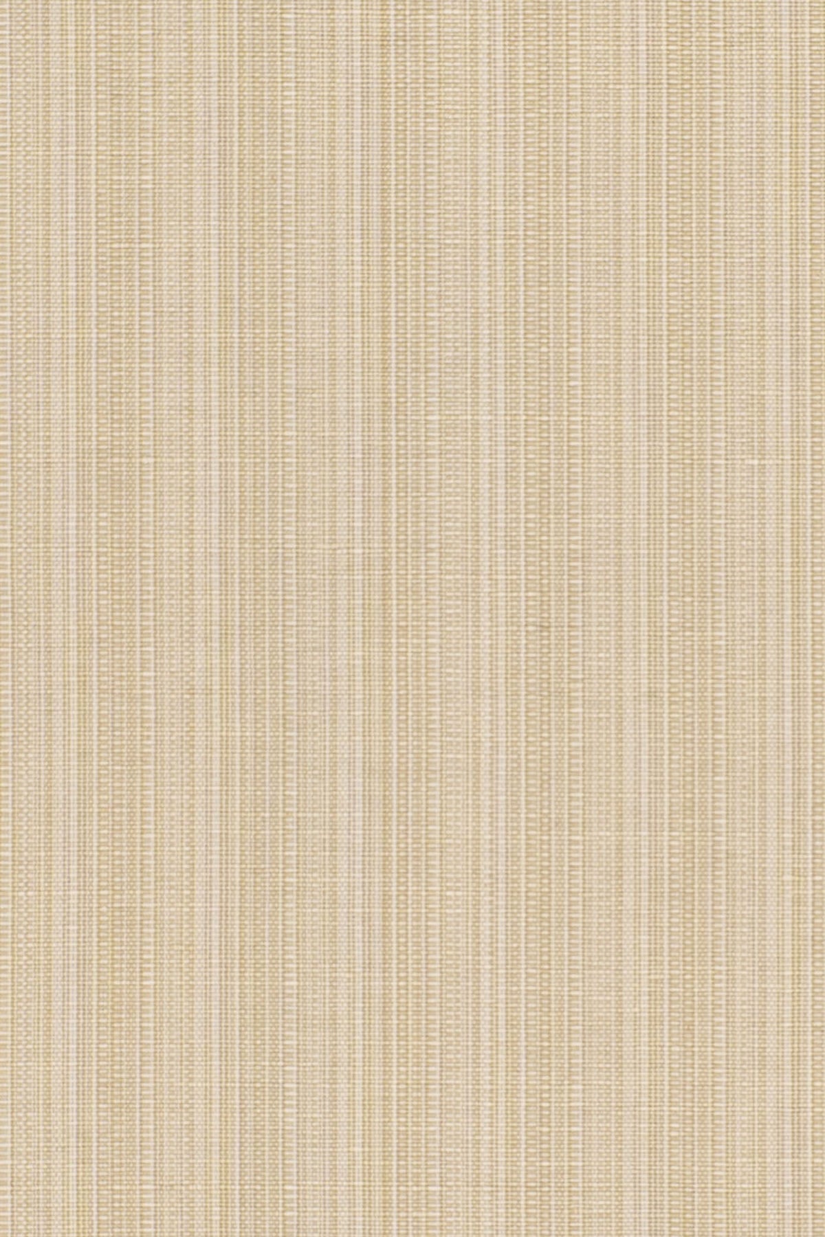 San Luca Strie Fabric by Jean Monro in Pebble