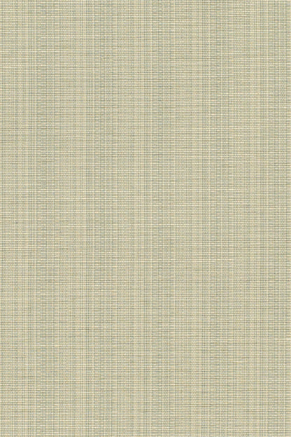 San Luca Strie Fabric by Jean Monro in Powder