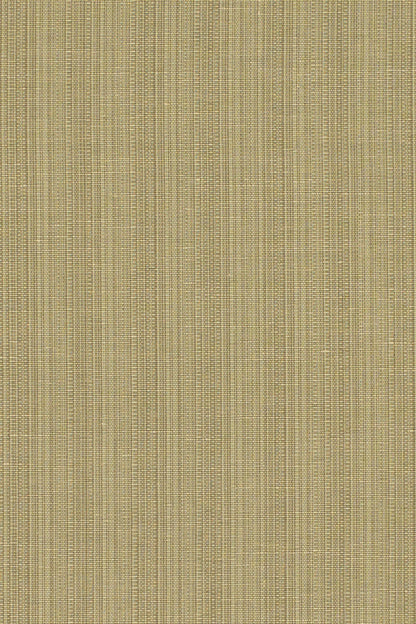 San Luca Strie Fabric by Jean Monro in Sage