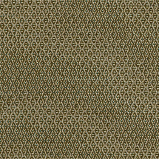 San Onofre Drive Fabric by Coraggio in Martini (U98190)