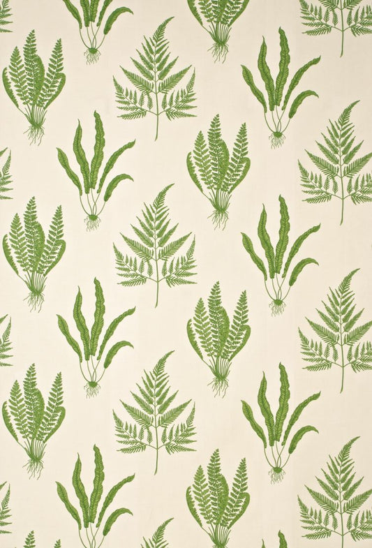 Woodland Ferns Fabric by Sanderson Green