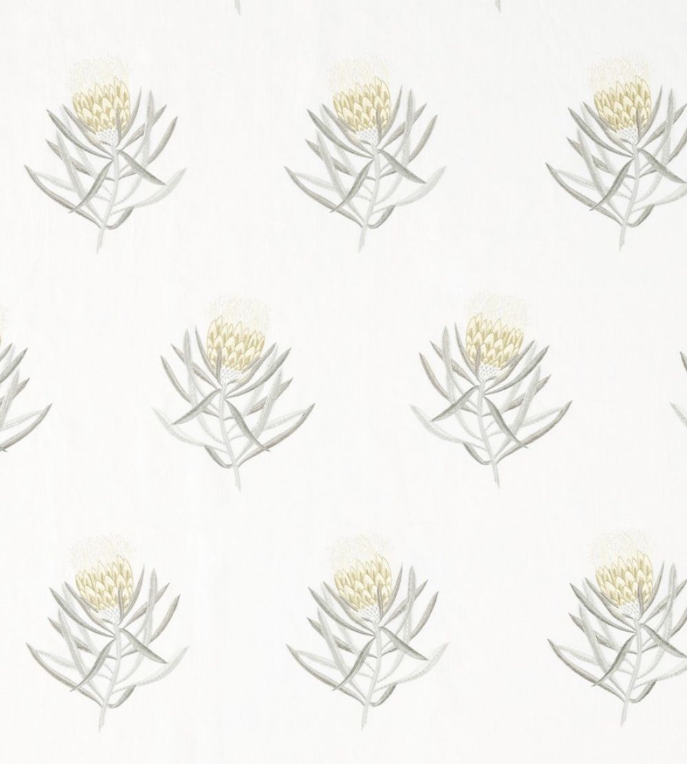 Protea Flower Fabric by Sanderson Daffodil / Natural