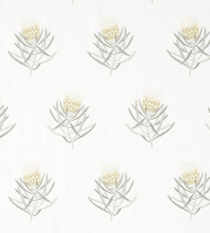 Protea Flower Fabric by Sanderson Daffodil / Natural