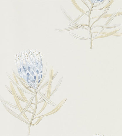 Protea Flower Wallpaper by Sanderson China Blue / Canvas