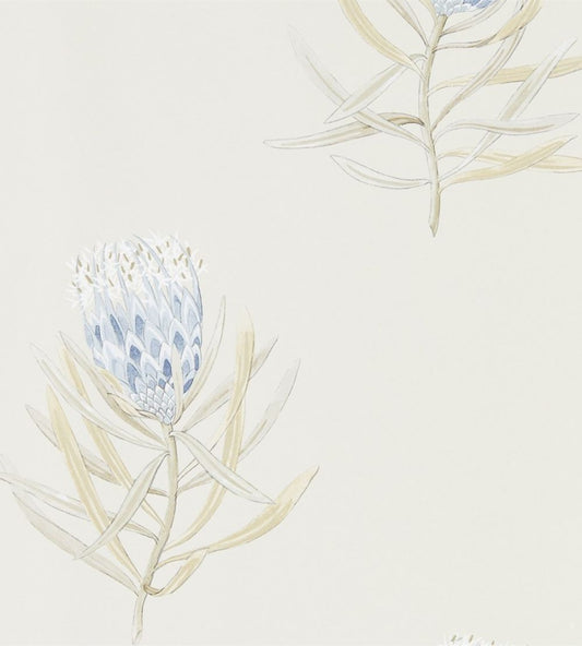 Protea Flower Wallpaper by Sanderson China Blue / Canvas