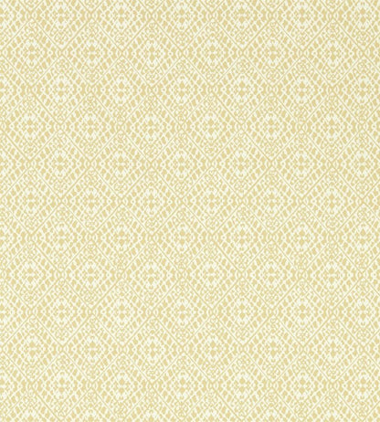 Pinjara Trellis Wallpaper by Sanderson Woad