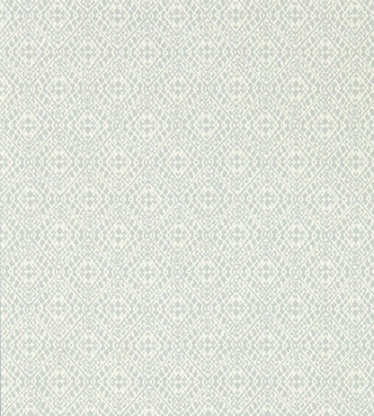 Pinjara Trellis Wallpaper by Sanderson Blue Clay