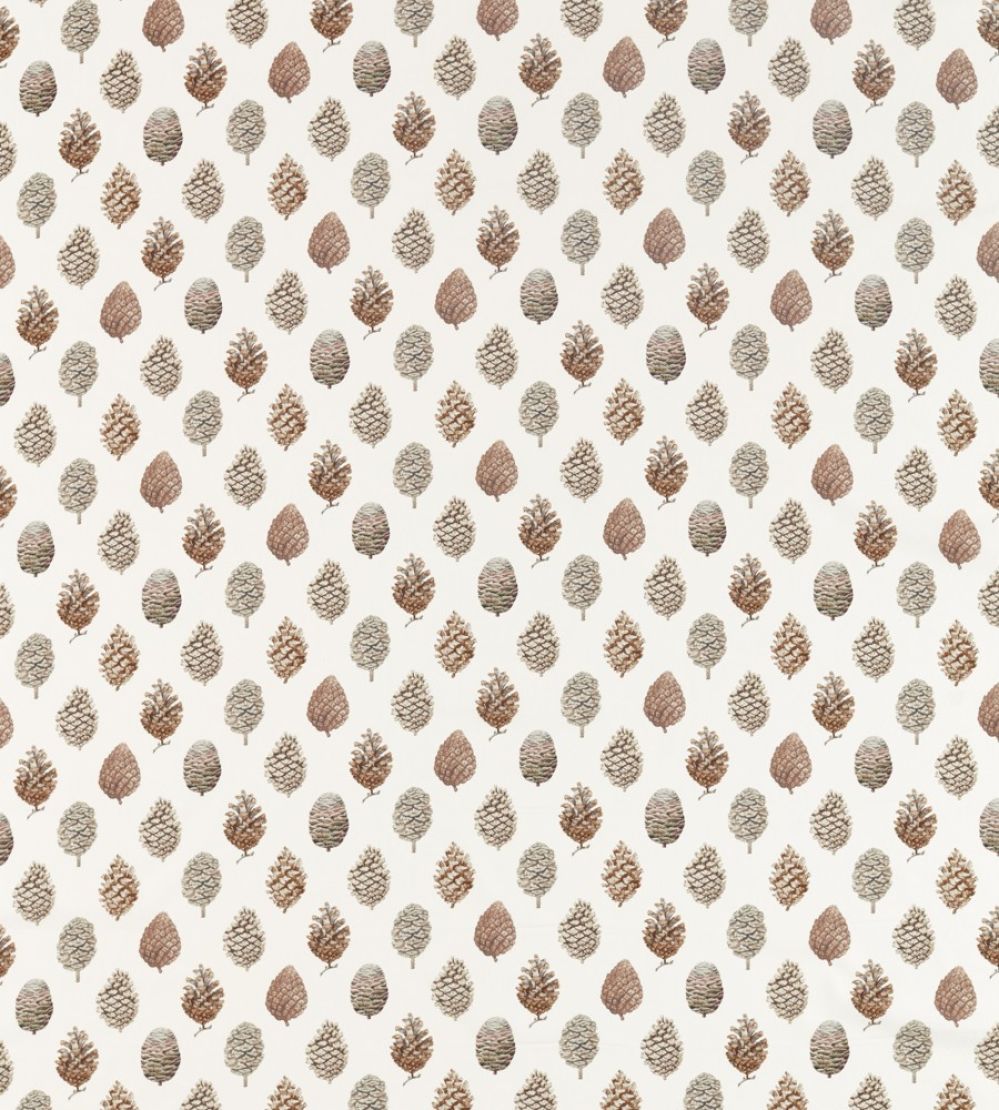 Pine Cones Fabric by Sanderson Briarwood / Cream