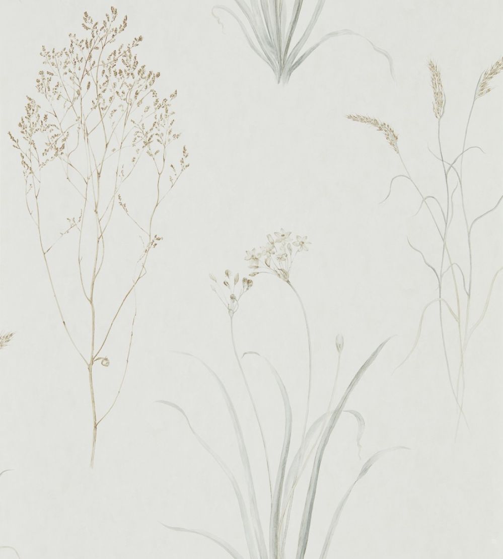 Farne Grasses Wallpaper by Sanderson Silver/Ivory