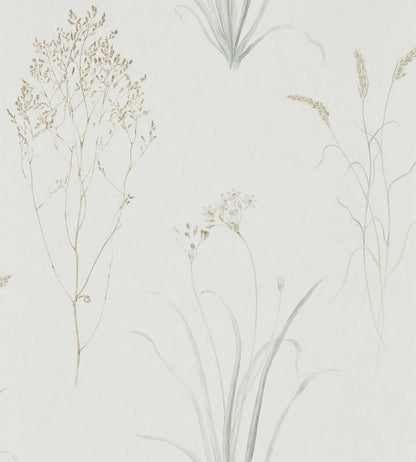 Farne Grasses Wallpaper by Sanderson Silver/Ivory