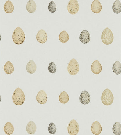 Nest Egg Wallpaper by Sanderson Corn Graphite