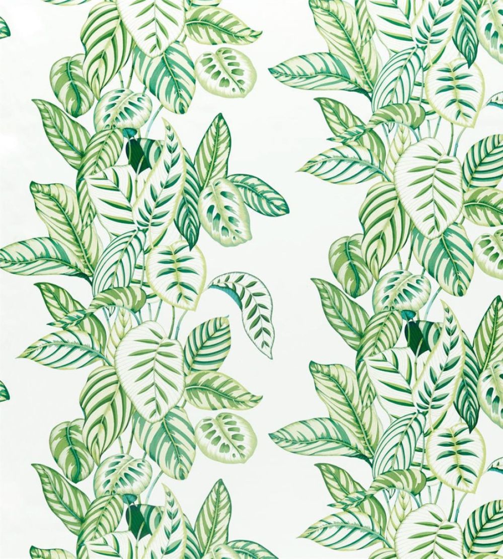 Calathea Fabric by Sanderson Botanical Green