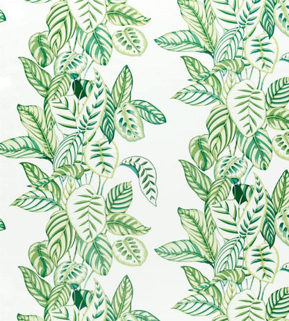 Calathea Fabric by Sanderson Botanical Green