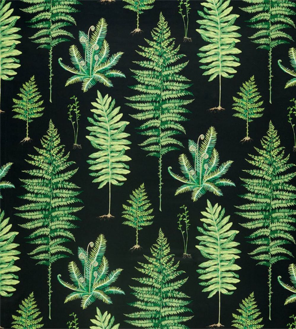 Fernery Fabric by Sanderson Botanical Green/Charcoal