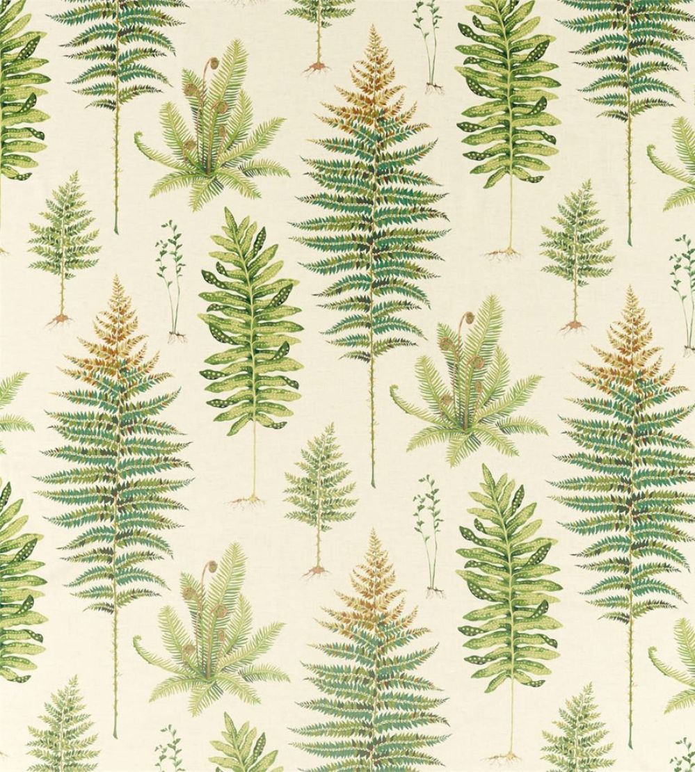 Fernery Fabric by Sanderson Olive