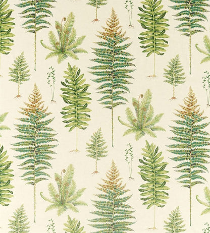 Fernery Fabric by Sanderson Olive