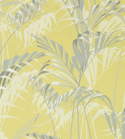 Palm House Wallpaper by Sanderson Chartreuse/Grey