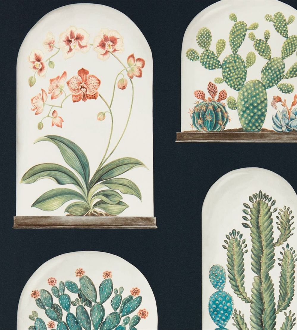 Terrariums Wallpaper by Sanderson Ink/Multi