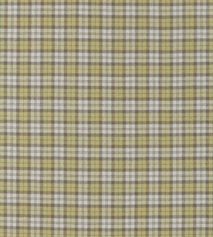 Fenton Check Fabric by Sanderson Check Caraway / Green