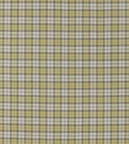 Fenton Check Fabric by Sanderson Check Caraway / Green